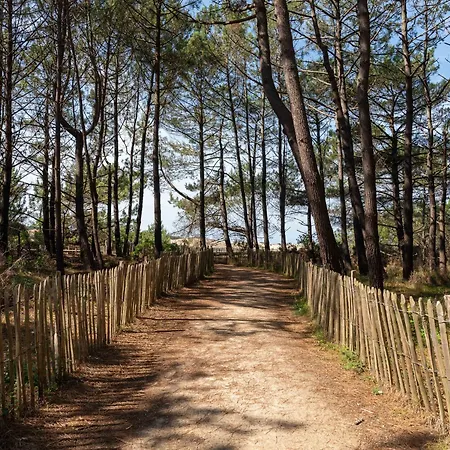 Maison T3 - Piscine - Terrasse - Près Des Dunes - Fr-1-319-173 Hébergement de vacances *
